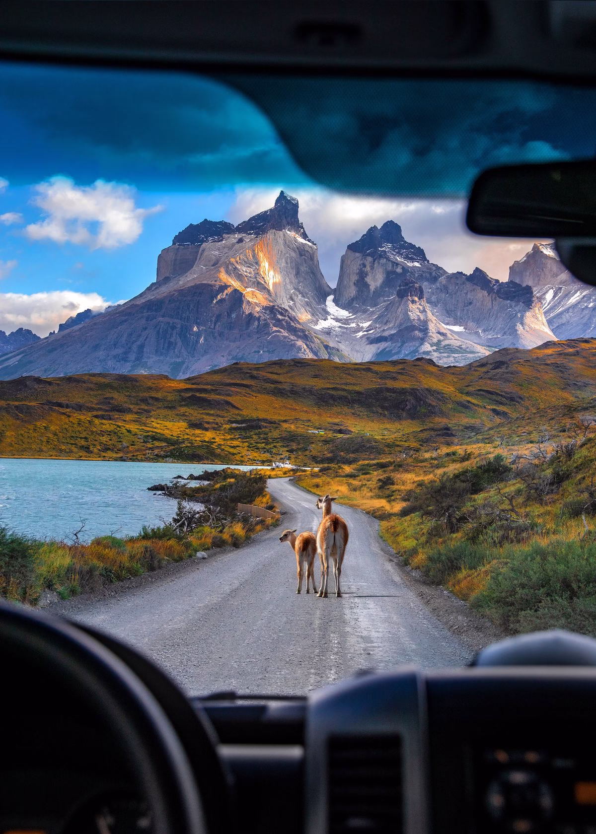Torres del Paine - Imagen 4