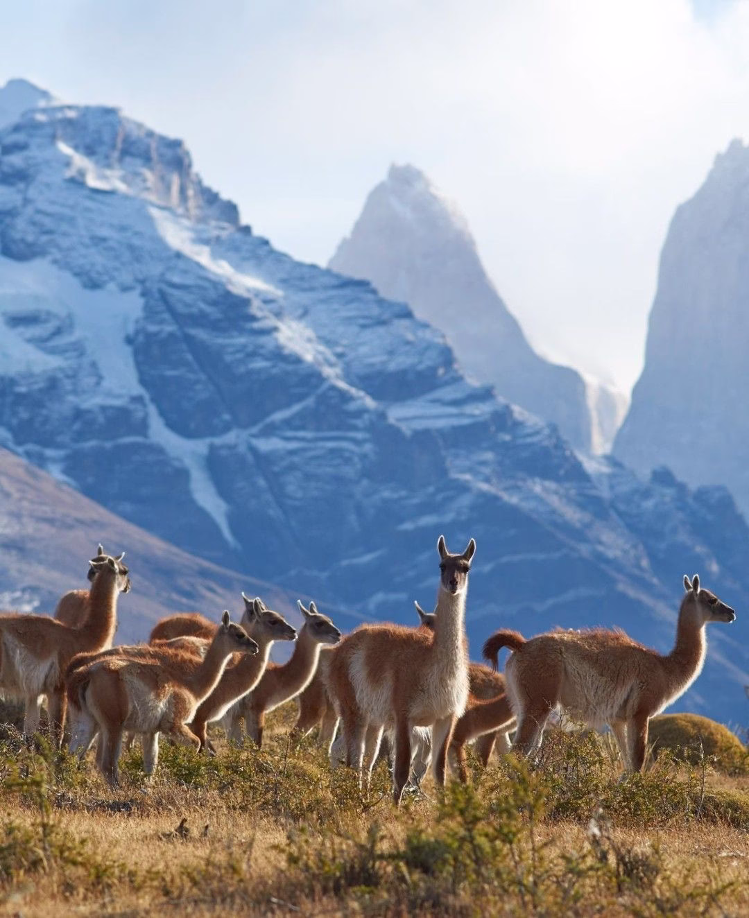 Torres del Paine - Imagen 3
